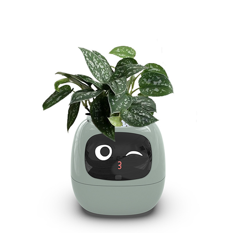 Smart AI Flowerpot with Temperature Display and Animated Expressions