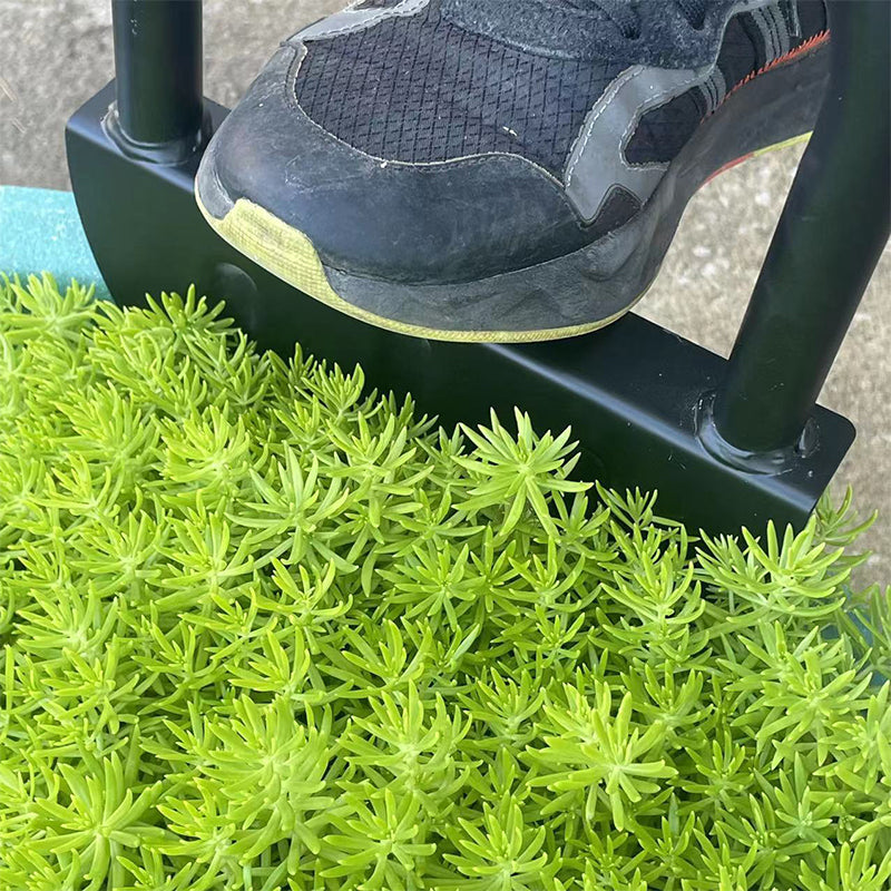 Saw-Tooth Edger Lawn Tool