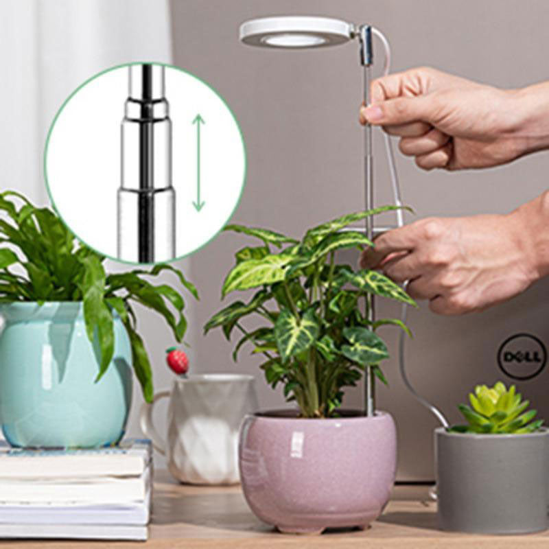 Indoor Plant Growth Light