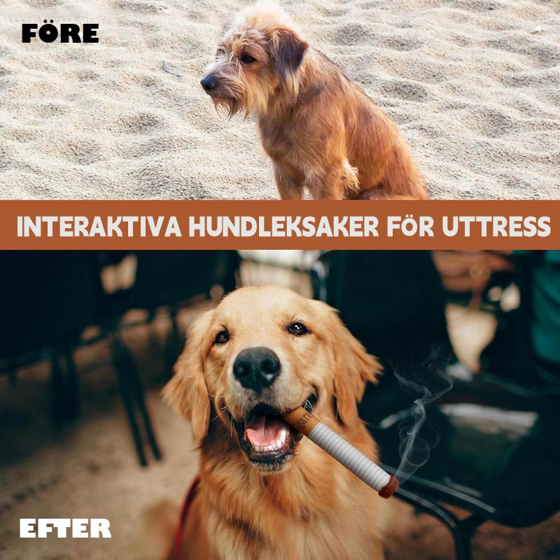 Cigarettleksaker för husdjur