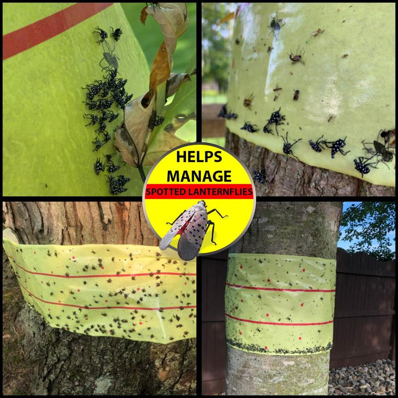 Extra-Sticky Fly Trap Roll