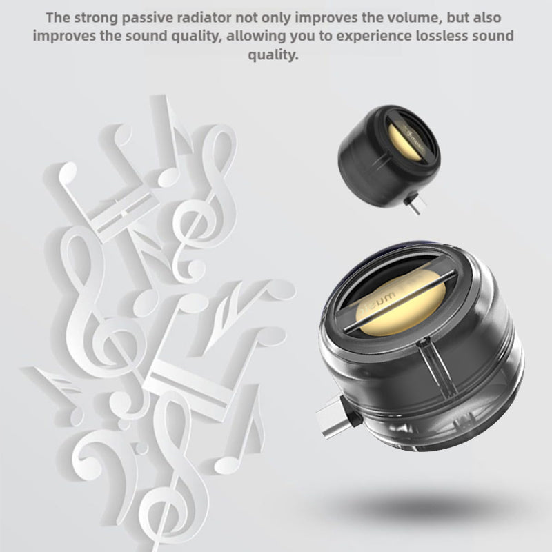 Portable 5X Speaker Amplifier