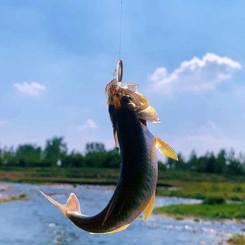 Artificial Fishing Lure (10pcs)