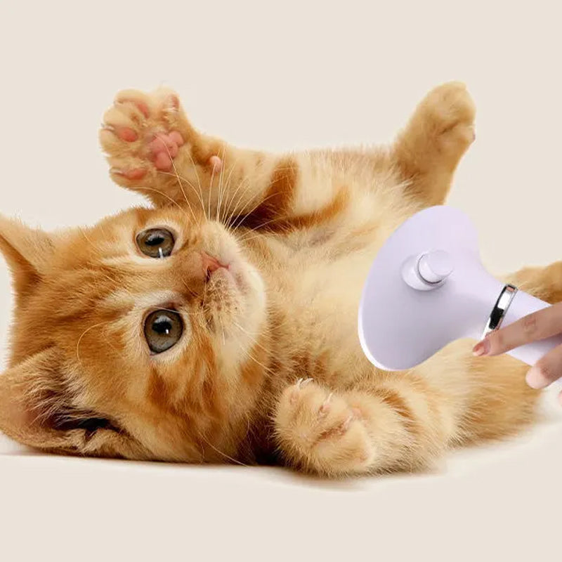 Pet Hair Dryer Brush