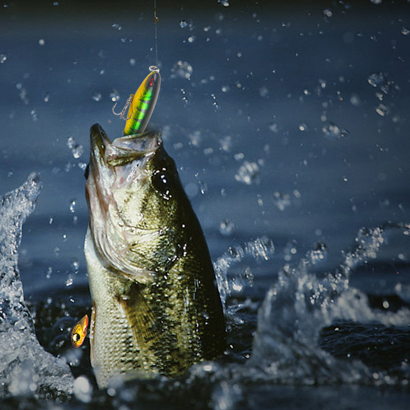 Artificial Fishing Lure (10pcs)