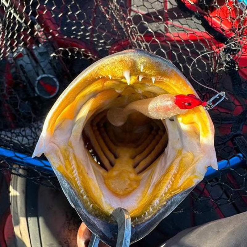 Fishing Speed Clip - 10 pcs