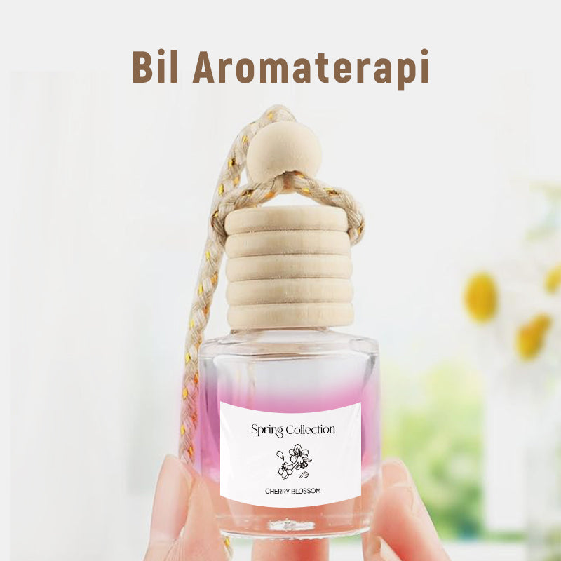 Bil Lufterfriskare Diffuser