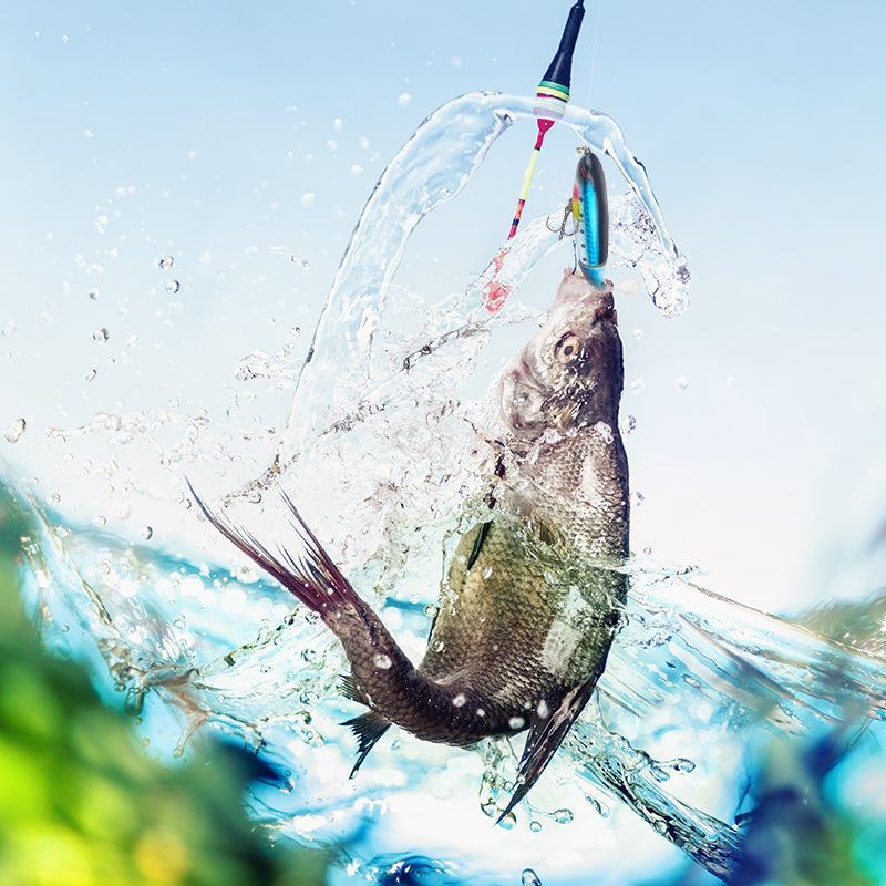 Artificial Fishing Lure (10pcs)