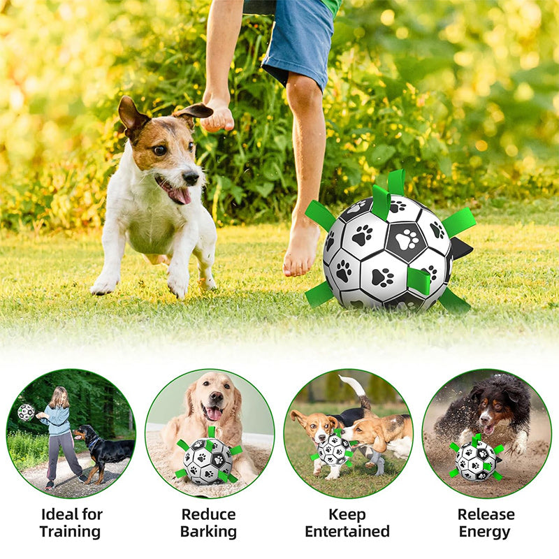Dog Soccer Toy