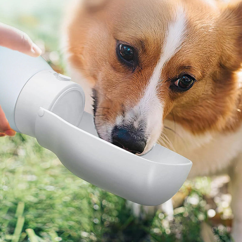 Portable Dog Water Bottle