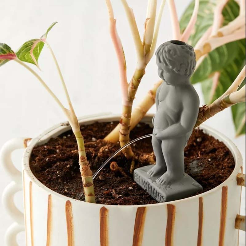 Kissande pojke Självbevattningsstake