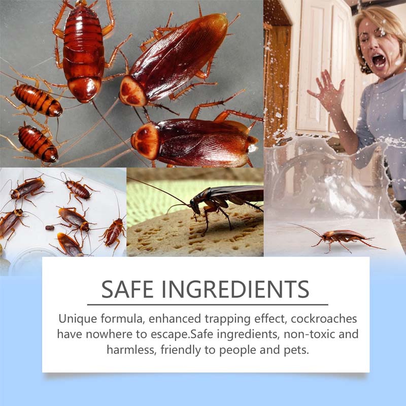 Effective Cockroach Bait Pads