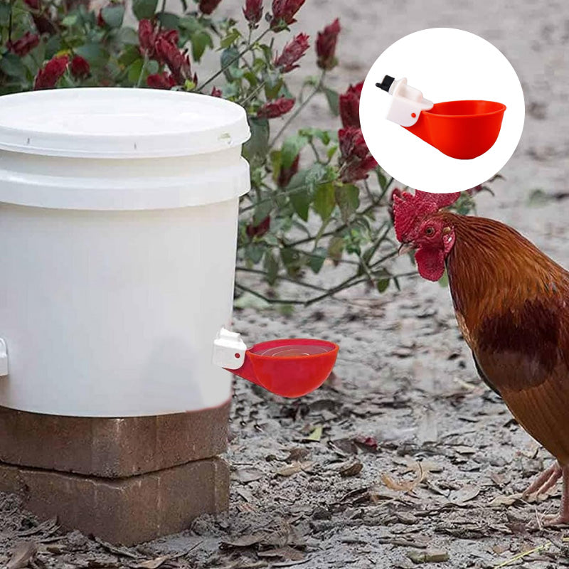 Automatic Chicken Water Cups (6 pcs)