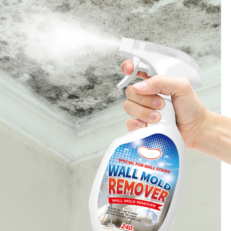 Mold Remover Spray for Walls