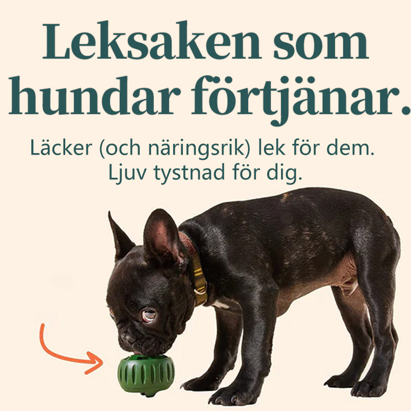 Läckageleksak för husdjursfoder