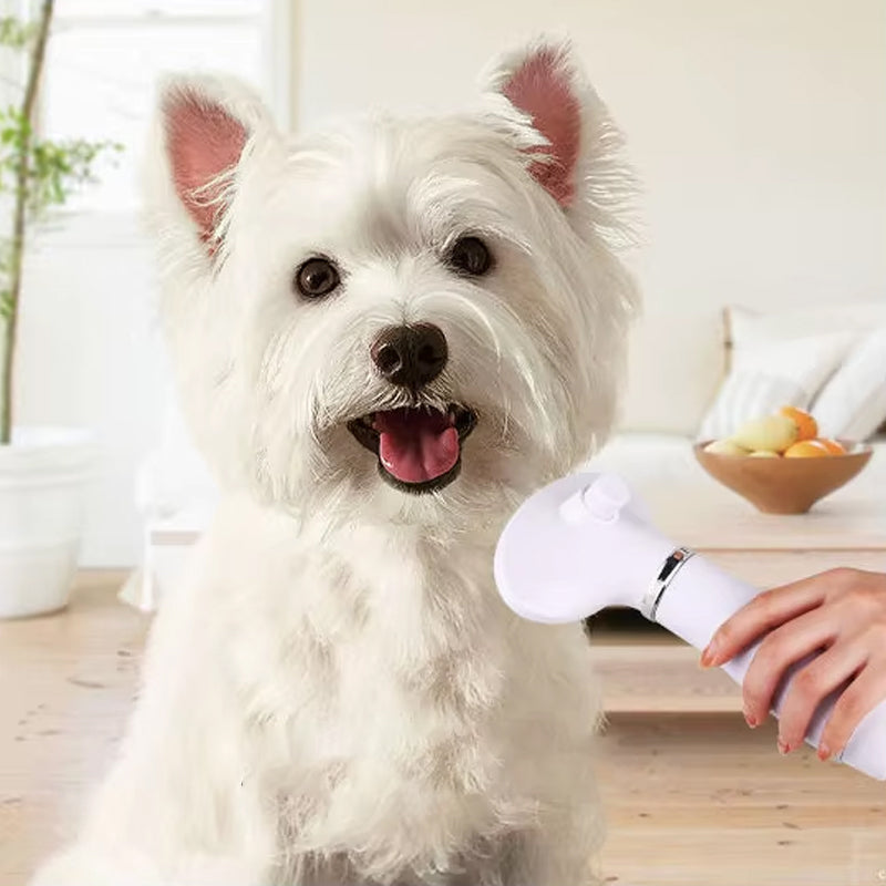 Pet Hair Dryer Brush