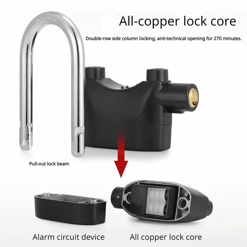 Anti-Theft Alarm Lock