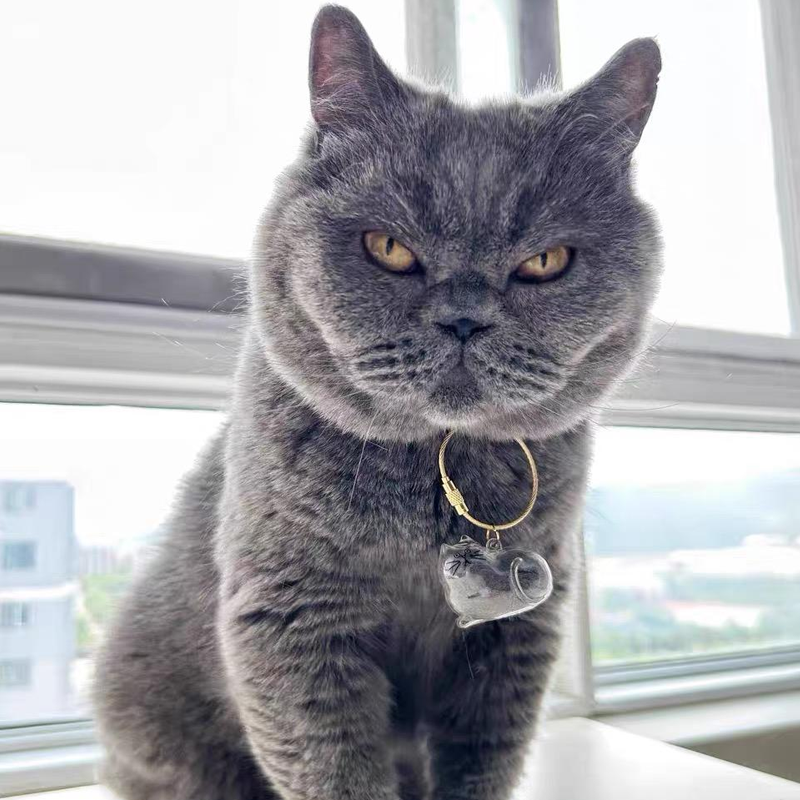 Cat Fur Keepsake Keychain β Transparent Memory Pendant for Pet Hair Storage