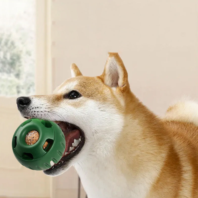 Läckageleksak för husdjursfoder