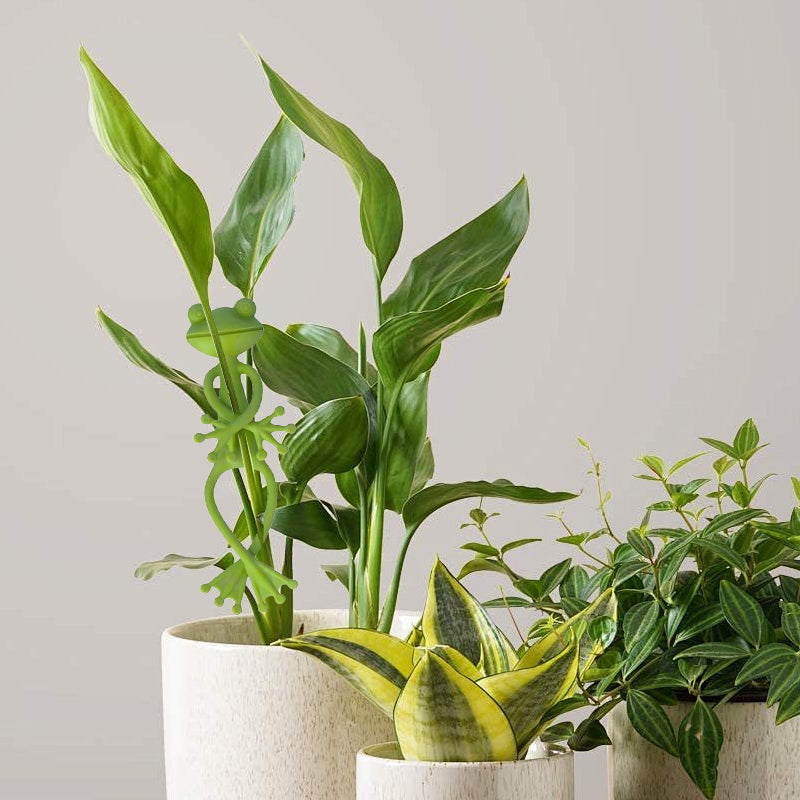 Frog Plant Stand