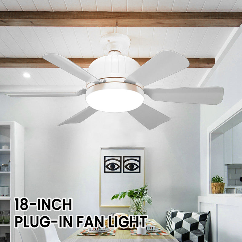 Ceiling Fan with LED Light