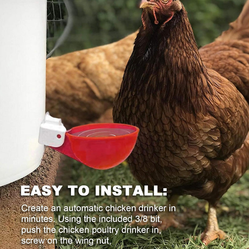Automatic Chicken Water Cups (6 pcs)