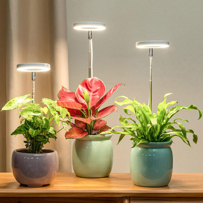 Indoor Plant Growth Light