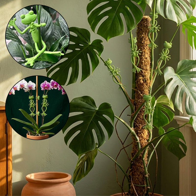 Multifunctional Bendable Frog Plant Ties & Organizers