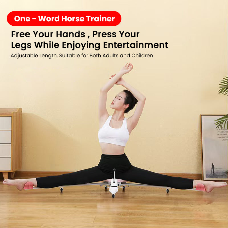 Leg Stretcher Machine (with backrest + counter)