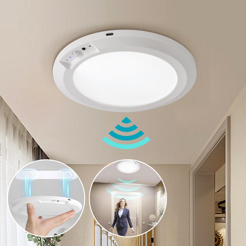 Motion Sensor Ceiling Light