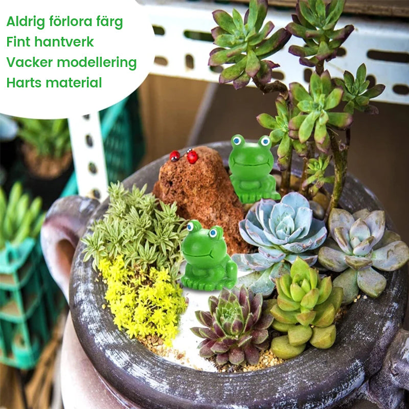 đžLiten groda | Utmanande göm-groda