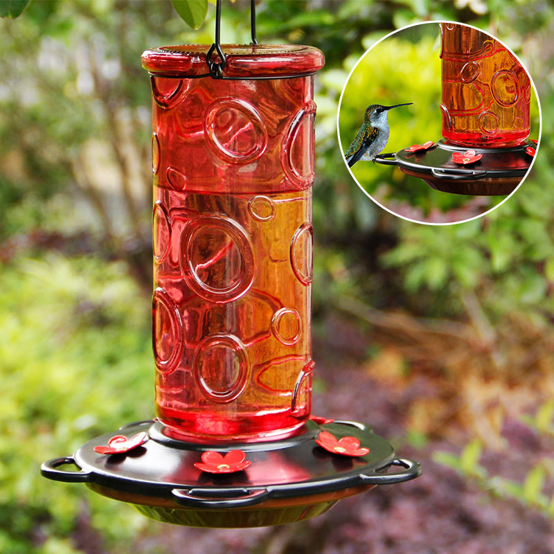 Glass Hummingbird Feeder for Outdoor Hanging