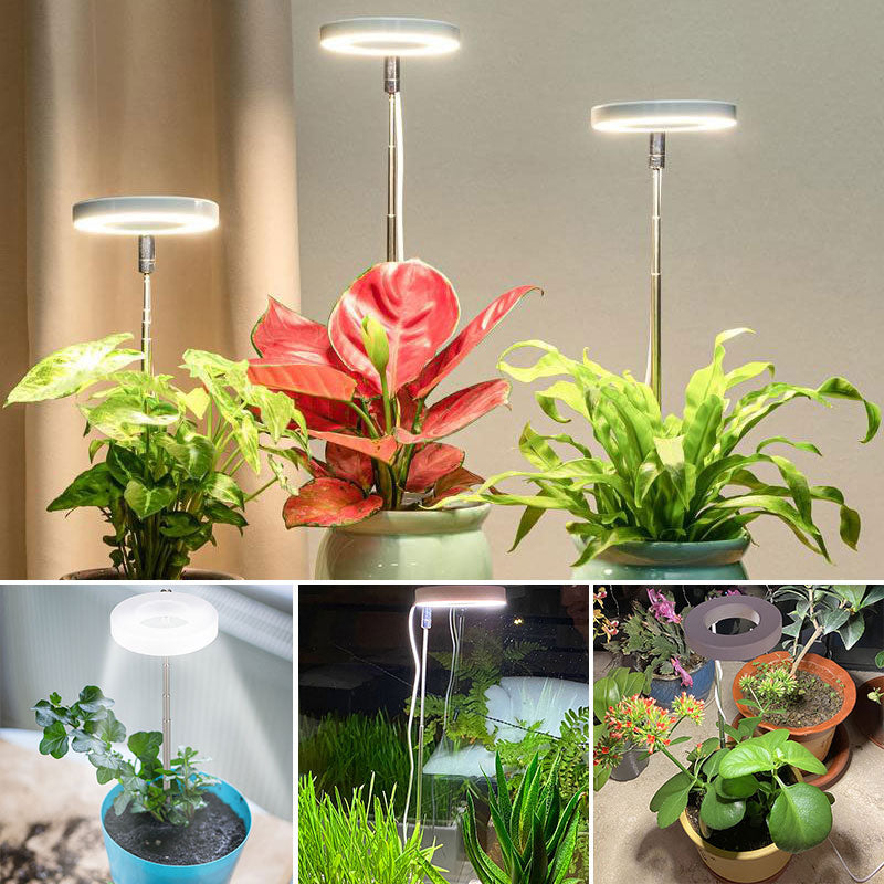 Indoor Plant Growth Light