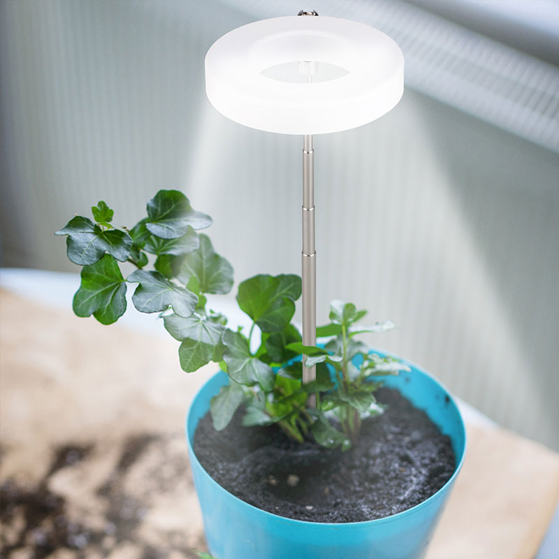 Indoor Plant Growth Light