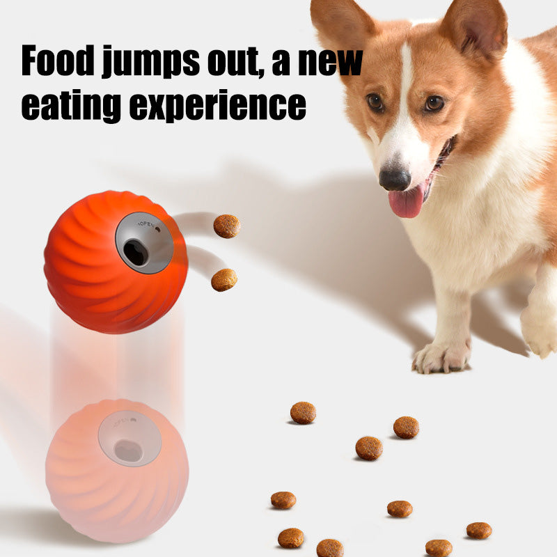 Interactive Treat Dispensing Ball
