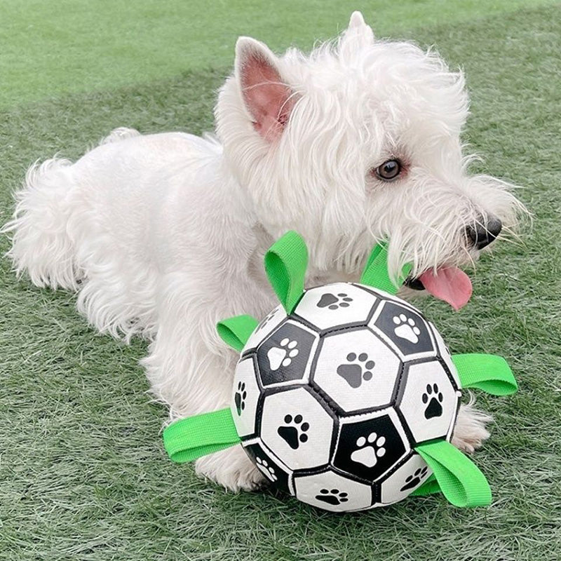 Dog Toys Soccer Ball