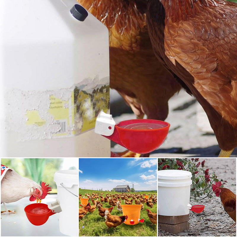Automatic Chicken Water Cups (6 pcs)