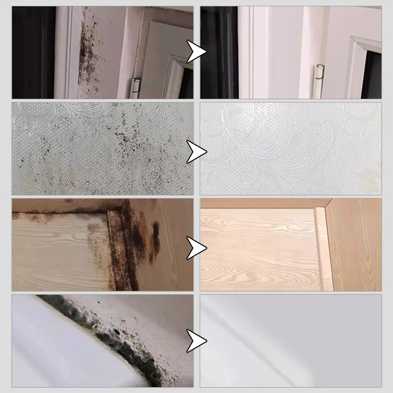 Mold Remover Spray for Walls