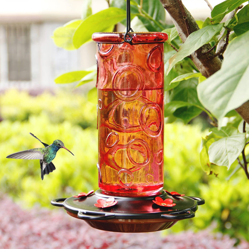 Glass Hummingbird Feeder for Outdoor Hanging