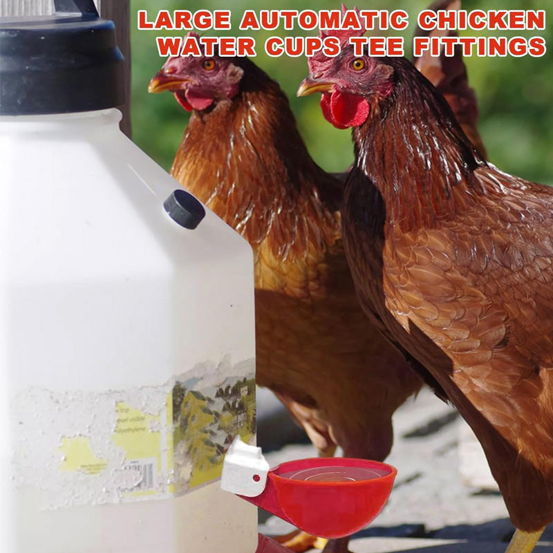 Automatic Chicken Water Cups (6 pcs)