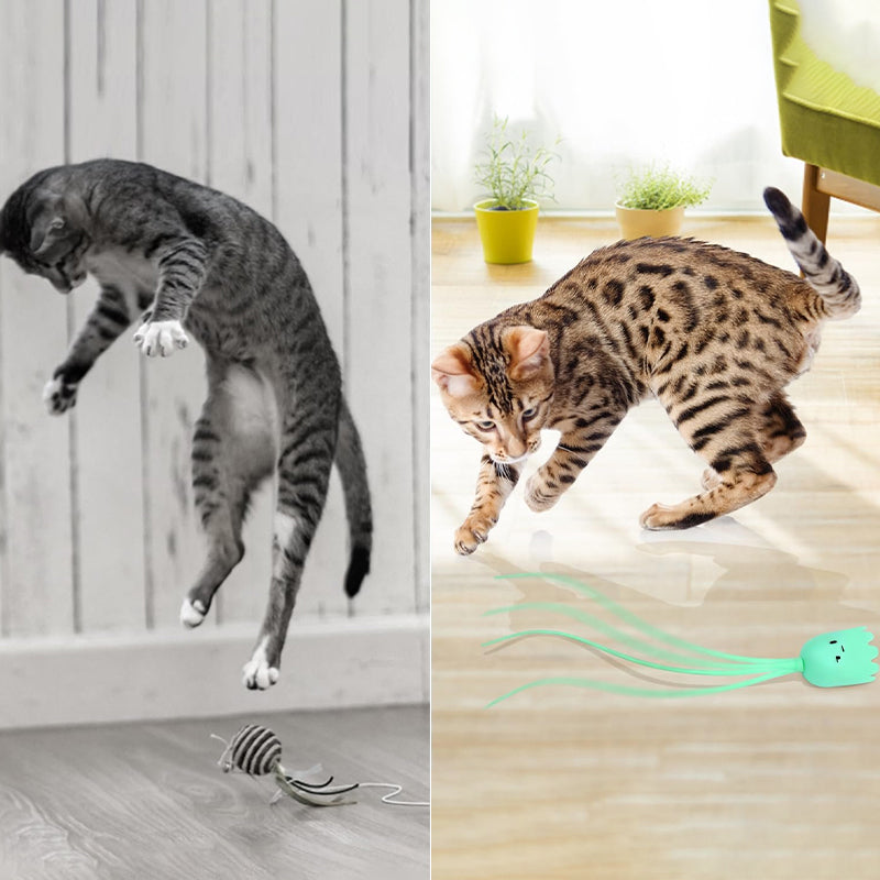 Leksaker för innekatter