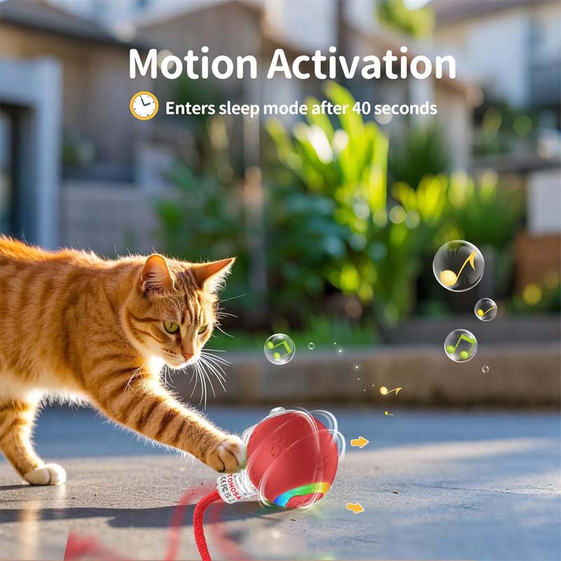 Interactive Rechargeable Ball Cat & Dog Toy
