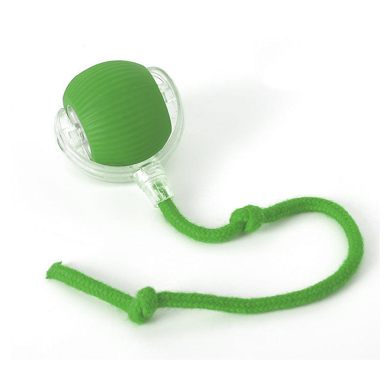 Interaktiv boll inomhuskatt