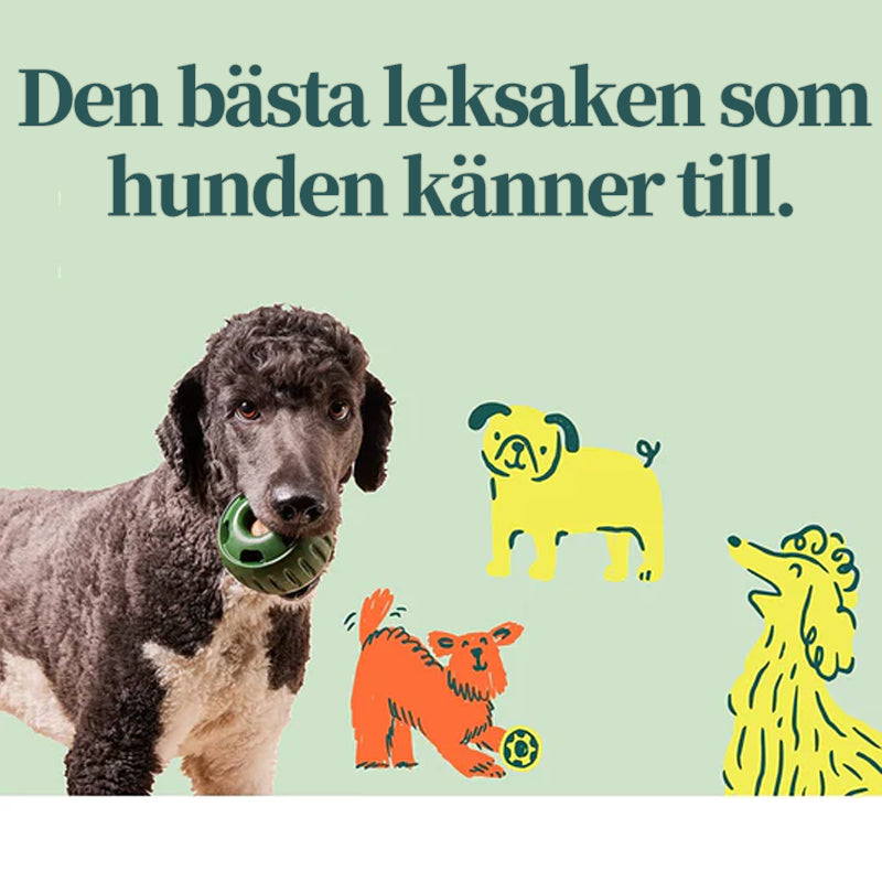 Läckageleksak för husdjursfoder