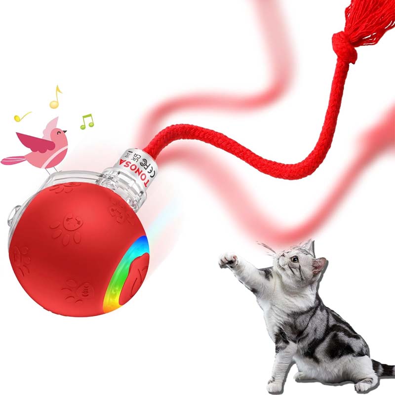 Interactive Rechargeable Ball Cat & Dog Toy