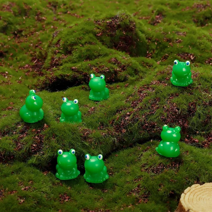 đžLiten groda | Utmanande göm-groda