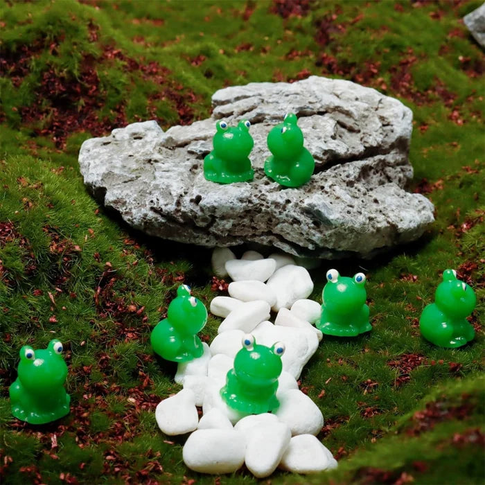 đžLiten groda | Utmanande göm-groda