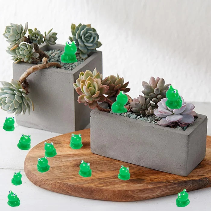 đžLiten groda | Utmanande göm-groda