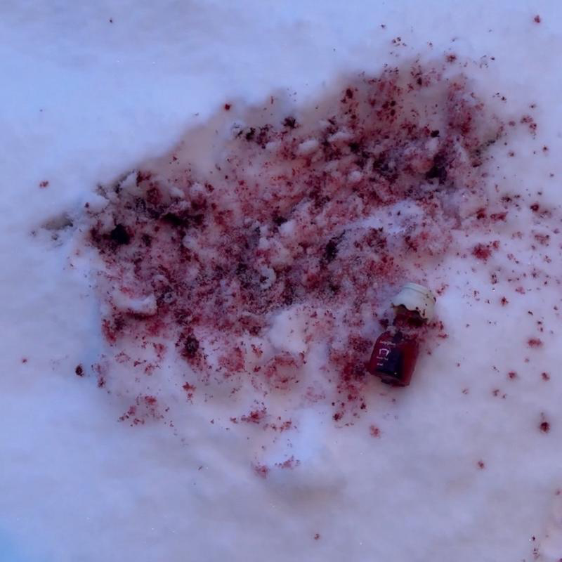 Bloody Lip Tint and Stain