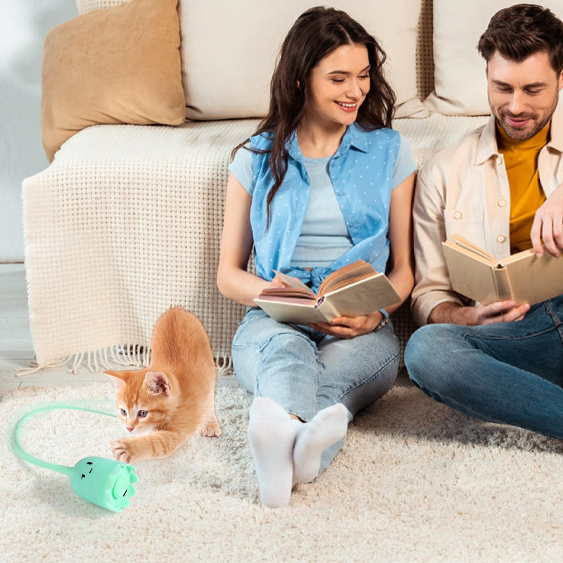 Leksaker för innekatter